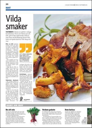 laholmstidning_b-20130921_000_00_00_004.pdf