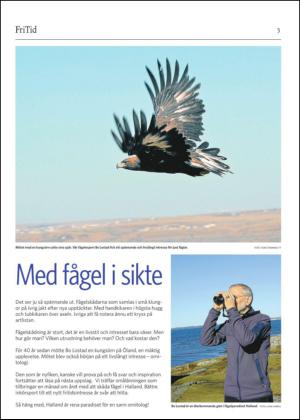 laholmstidning_b-20150320_000_00_00_003.pdf