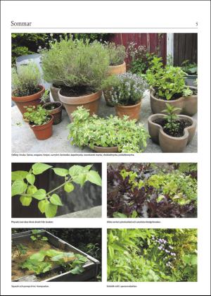 laholmstidning_b-20160610_000_00_00_005.pdf