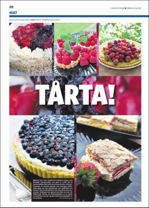 laholmstidning_b-20160716_000_00_00_004.pdf