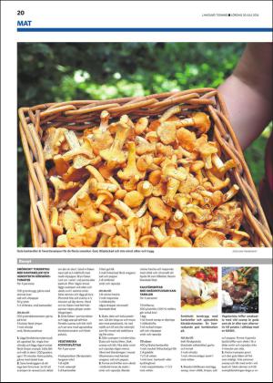 laholmstidning_b-20160730_000_00_00_004.pdf