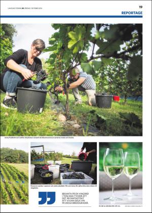 laholmstidning_b-20161001_000_00_00_003.pdf