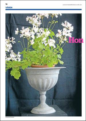 laholmstidning_c-20130425_000_00_00_016.pdf