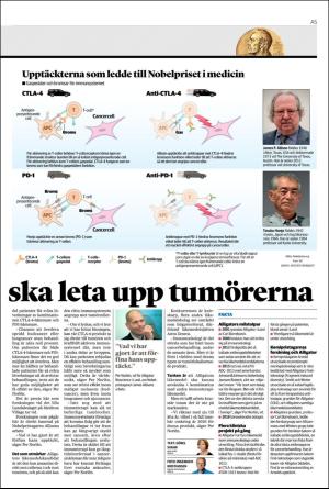landskronaposten-20181210_000_00_00_005.pdf
