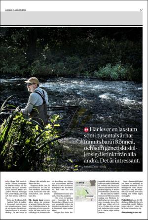 landskronaposten-20190831_000_00_00_007.pdf