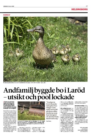 landskronaposten-20210714_000_00_00_007.pdf