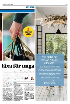 landskronaposten-20230813_000_00_00_013.pdf