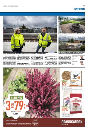 landskronaposten-20230923_000_00_00_017.pdf