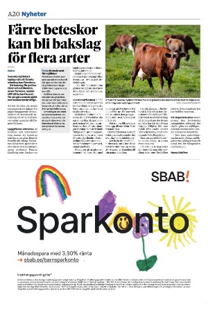 landskronaposten-20240528_000_00_00_020.pdf