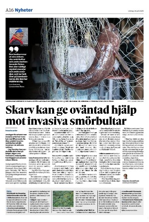 landskronaposten-20250719_000_00_00_016.pdf