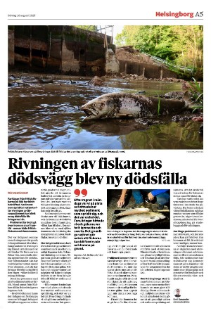 landskronaposten-20250810_000_00_00_005.pdf