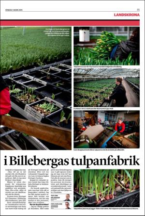 landskronaposten_b-20190303_000_00_00_005.pdf