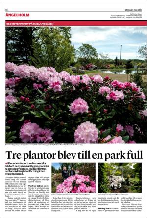 landskronaposten_b-20190609_000_00_00_006.pdf