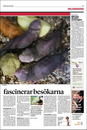 landskronaposten_b-20190628_000_00_00_005.pdf