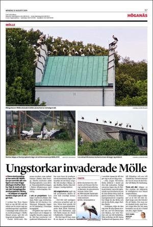 landskronaposten_b-20190812_000_00_00_007.pdf