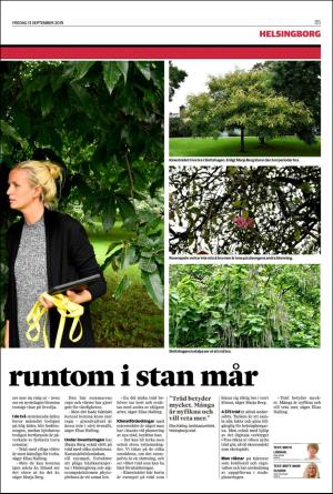 landskronaposten_b-20190913_000_00_00_005.pdf