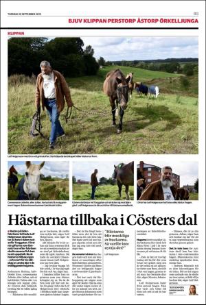 landskronaposten_b-20190919_000_00_00_013.pdf