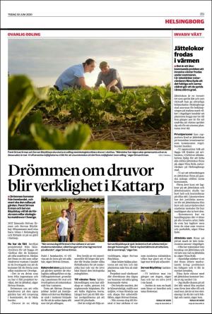 landskronaposten_b-20200630_000_00_00_009.pdf