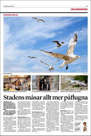 landskronaposten_b-20200728_000_00_00_011.pdf