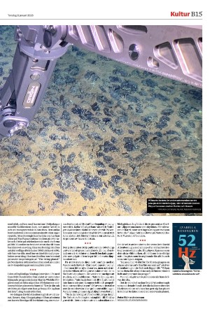 landskronaposten_b-20260108_000_00_00_015.pdf