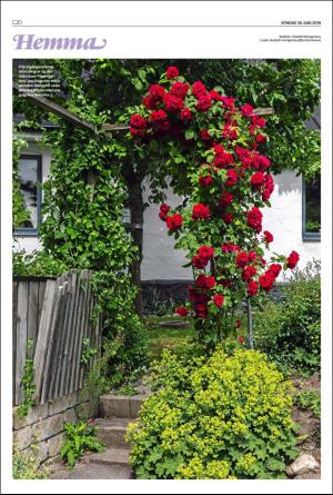 landskronaposten_c-20190630_000_00_00_020.pdf