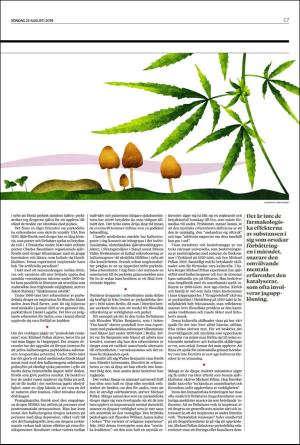 landskronaposten_c-20190825_000_00_00_007.pdf