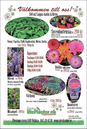 landskronaposten_c-20200419_000_00_00_024.pdf