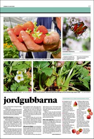 landskronaposten_c-20200613_000_00_00_017.pdf
