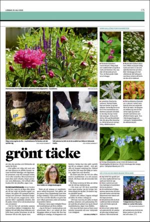 landskronaposten_c-20200725_000_00_00_015.pdf