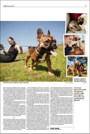 landskronaposten_c-20200726_000_00_00_005.pdf