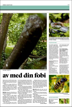 landskronaposten_c-20200801_000_00_00_015.pdf