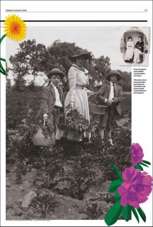 landskronaposten_c-20200809_000_00_00_009.pdf