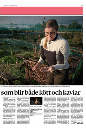 landskronaposten_c-20201114_000_00_00_005.pdf