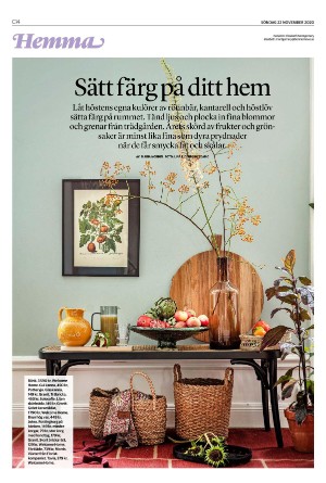 landskronaposten_c-20201122_000_00_00_014.pdf