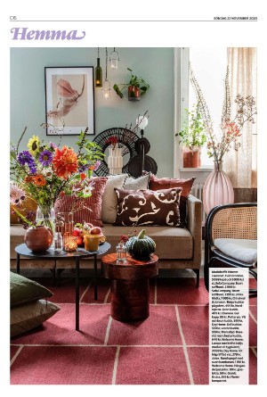 landskronaposten_c-20201122_000_00_00_016.pdf