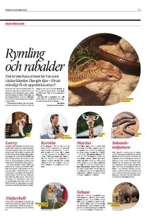 landskronaposten_c-20221030_000_00_00_003.pdf
