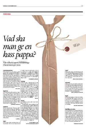 landskronaposten_c-20221113_000_00_00_003.pdf