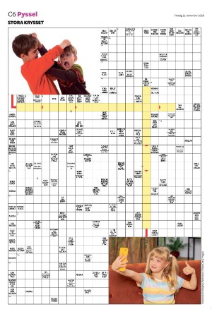 landskronaposten_c-20251121_000_00_00_006.pdf