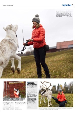 lanstidningen-20251101_000_00_00_005.pdf