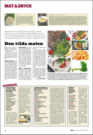 lanstidningen_c-20121020_000_00_00_006.pdf
