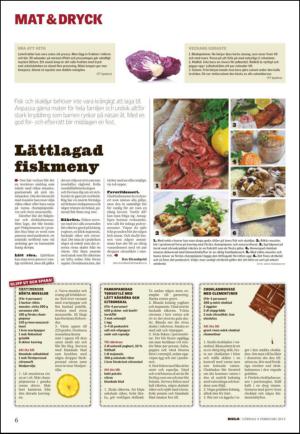 lanstidningen_c-20130209_000_00_00_006.pdf