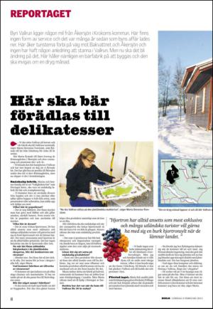 lanstidningen_c-20130209_000_00_00_008.pdf