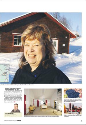 lanstidningen_c-20130209_000_00_00_009.pdf