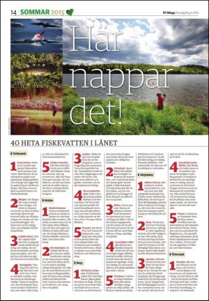 lanstidningen_c-20150618_000_00_00_014.pdf