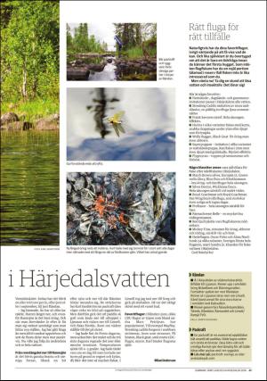 lanstidningen_c-20160623_000_00_00_041.pdf