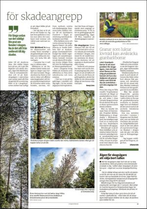 lanstidningen_c-20190912_000_00_00_017.pdf