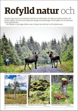 lanstidningen_c-20200910_000_00_00_022.pdf