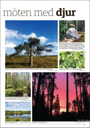 lanstidningen_c-20200910_000_00_00_023.pdf