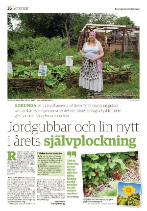 lanstidningensodertalje_b-20210622_000_00_00_036.pdf