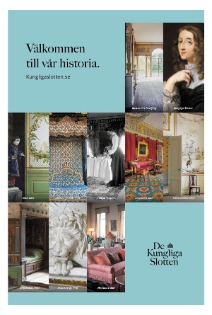 lanstidningensodertalje_b-20250617_000_00_00_029.pdf